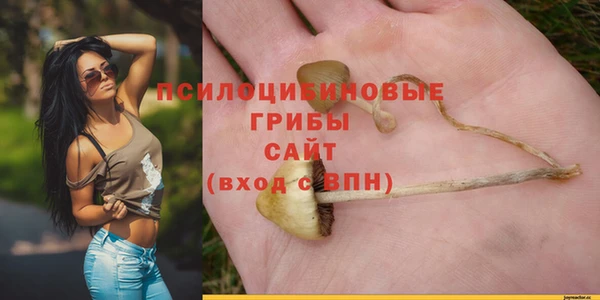 мет Кодинск