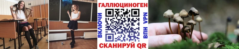 Купить закладки  Десногорск  Галлюциногенные грибы Psilocybe 